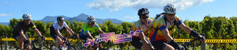 19 GRAPEHeader1A